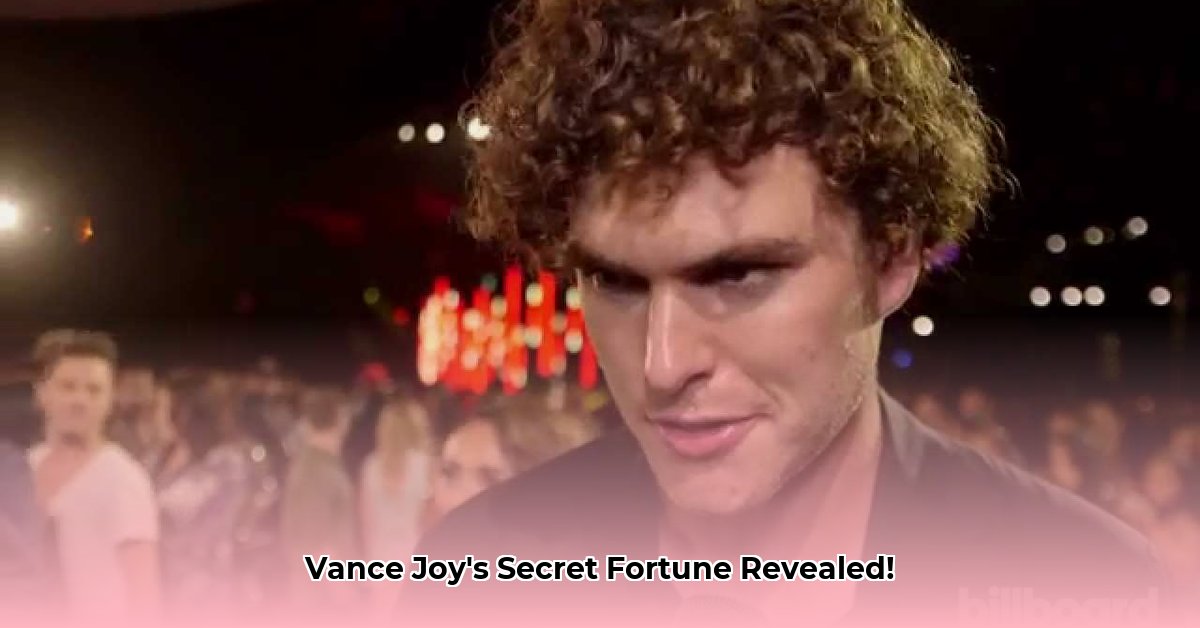 vance-joy-net-worth